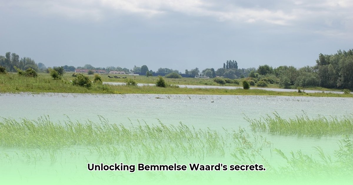 bemmelse-waard
